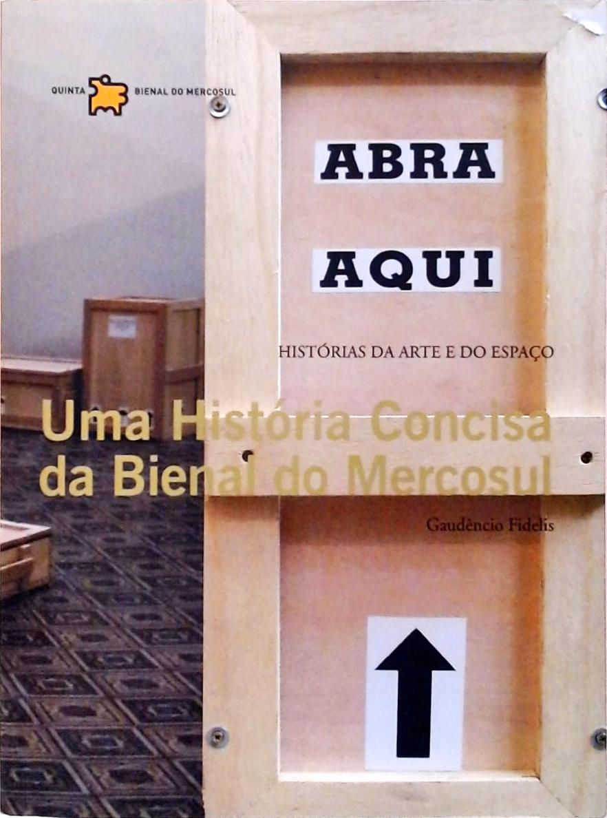 Uma História Concisa Da Bienal Do Mercosul