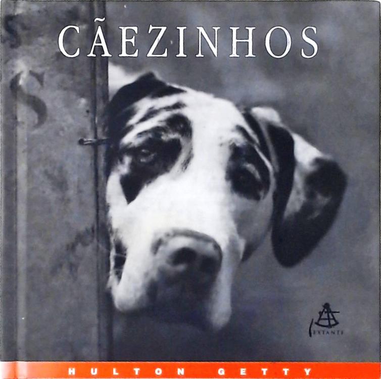 Cãezinhos - Uma Celebração Fotográfica