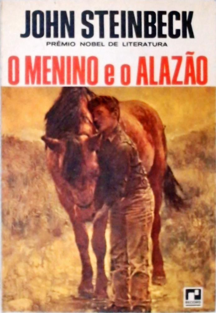 O Menino E O Alazão