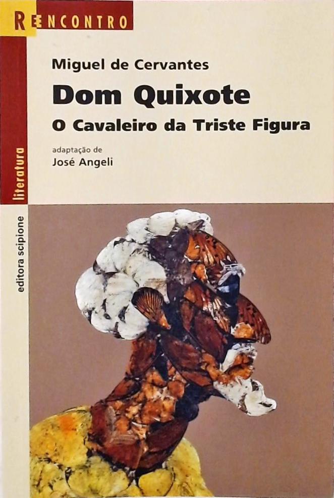 Dom Quixote - O Cavaleiro Da Triste Figura (adaptado)
