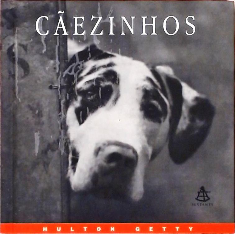 Cãezinhos - Uma Celebração Fotográfica