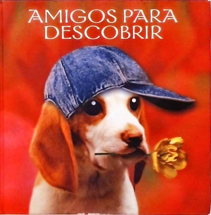 Amigos Para Descobrir