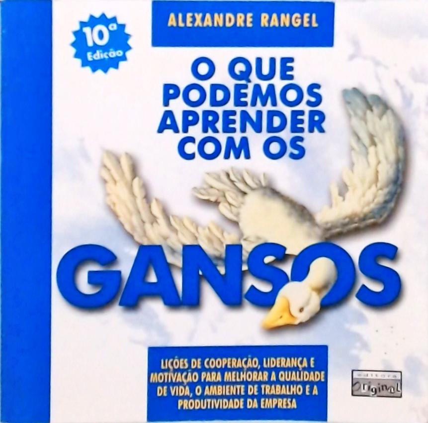 O Que Podemos Aprender Com Os Gansos