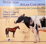 Spurgeon Atlas Colorido De Anatomia De Grandes Animais