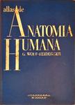 Atlas De Anatomia Humana