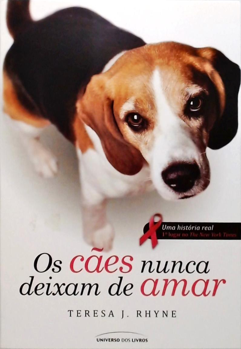 Os Cães Nunca Deixam De Amar