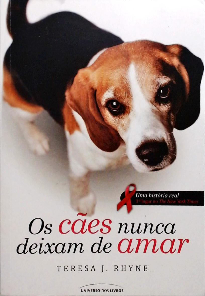 Os Cães Nunca Deixam De Amar