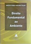 Direito Fundamental Ao Ambiente