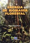 Energia De Biomassa Florestal