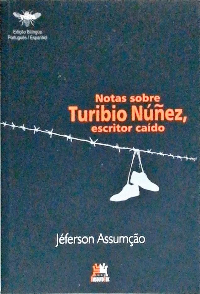 Notas Sobre Turibio Núñez, Escritor Caído
