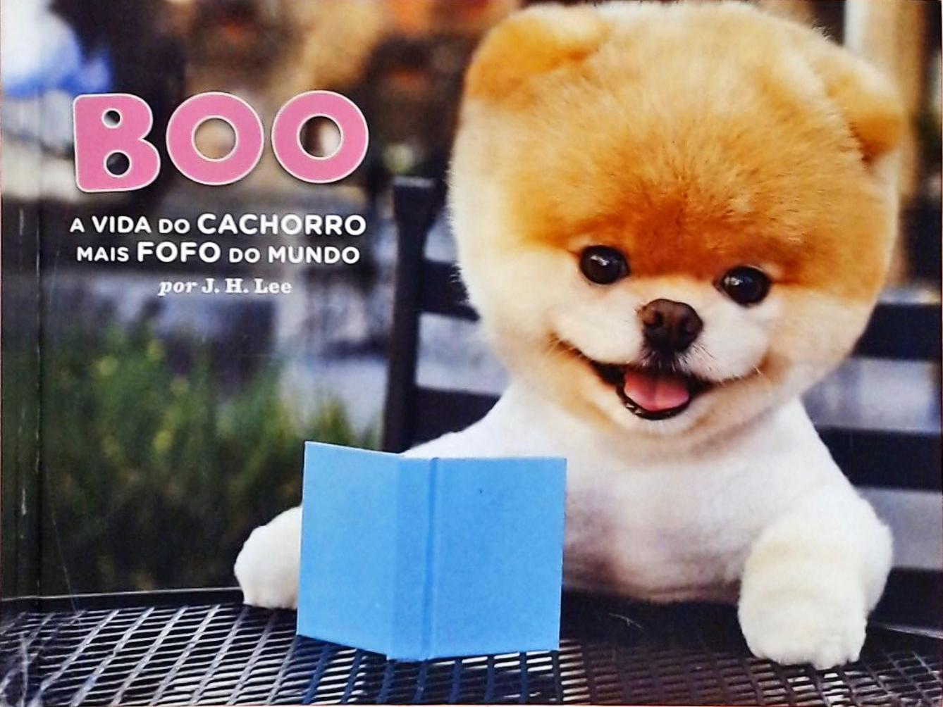 Boo - A Vida Do Cachorro Mais Fofo Do Mundo