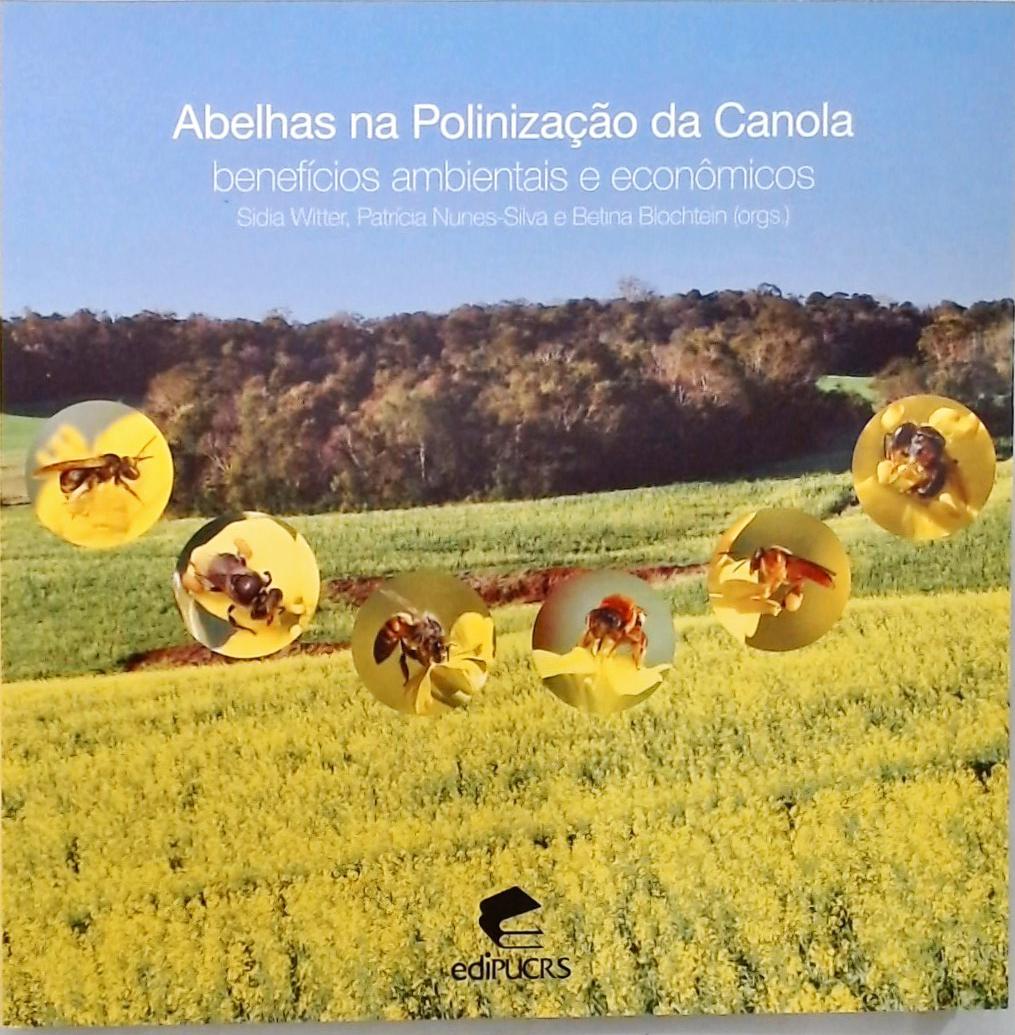 Abelhas Na Polinização Da Canola