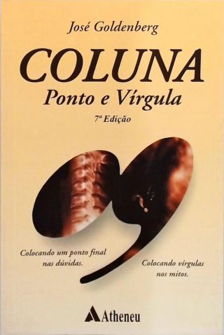 Coluna Ponto E Virgula