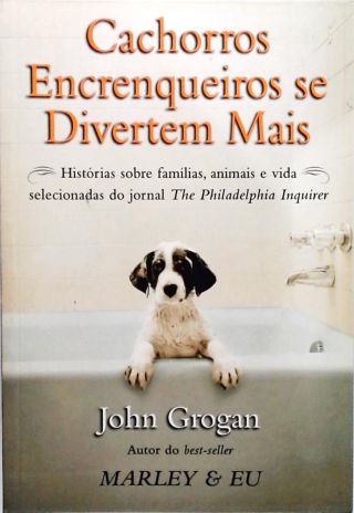 Cachorros Encrenqueiros Se Divertem Mais