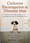 Cachorros Encrenqueiros Se Divertem Mais