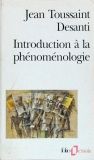 Introduction a la Phenomenologie