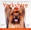 Conhecendo Seu Melhor Amigo - Yorkshire Terrier