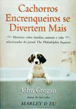 Cachorros Encrenqueiros Se Divertem Mais