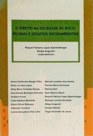 O Direito Na Sociedade De Risco