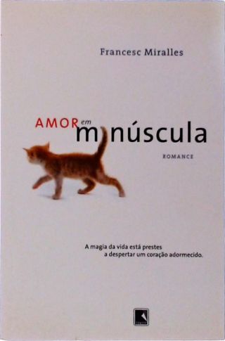 Amor Em Minúscula