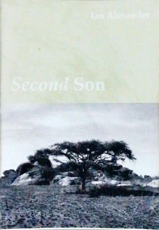 Second Son