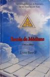 Escola De Médiuns - Livro Base Vol 2