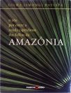 O Céu Por Entre Renda Caprichosa Folhas Amazonia