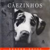 Cãezinhos - Uma Celebração Fotográfica