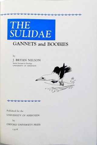 The Sulidae - Gannets And Boobies