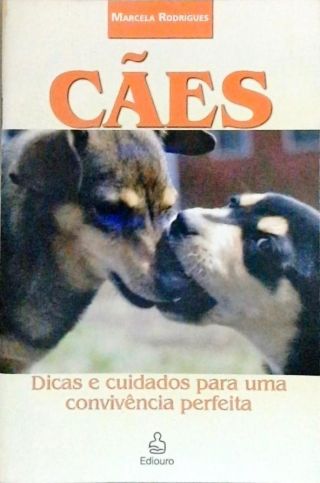 Cães: Dicas E Cuidados Para Uma Convivência Perfeita