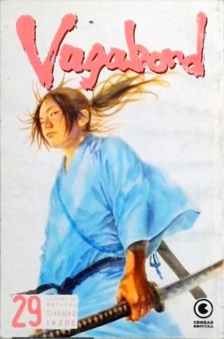 Vagabond Vol 29