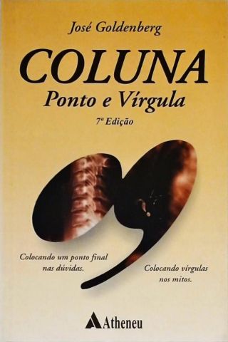 Coluna Ponto E Virgula