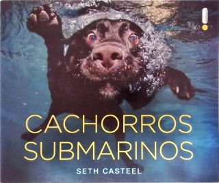 Cachorros submarinos