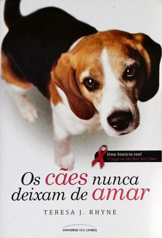 Os Cães Nunca Deixam De Amar