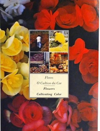 Flores - O Cultivo da Cor / Flowers - Cultivating Color