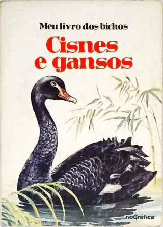 Meu Livro dos Bichos - Cisnes e Gansos