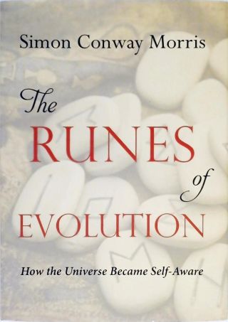 The Runes of Evolution