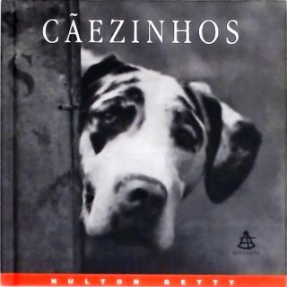 Cãezinhos - Uma Celebração Fotográfica