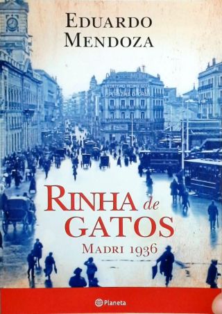 Rinha De Gatos