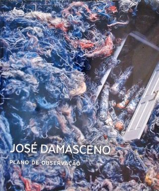 José Damasceno - Plano De Observação