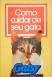 Como Cuidar De Seu Gato