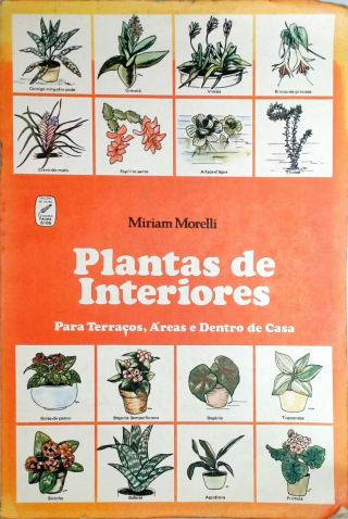 Plantas De Interiores