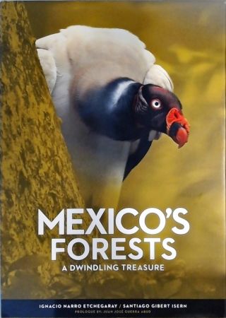Mexico s Forests