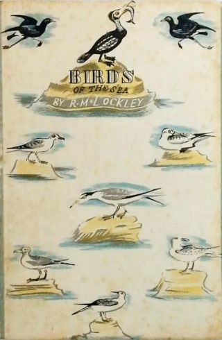Birds of the Sea