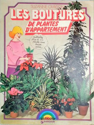 Les Boutures de Plantes Dappartement