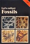 Lets Collect Fossils