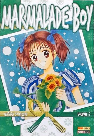 Marmalade Boy - Vol. 6