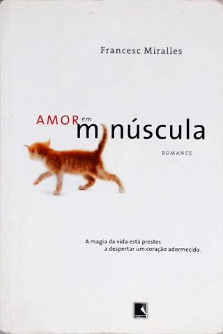 Amor Em Minúscula