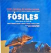 Fósiles - Naturaleza En Bolivia