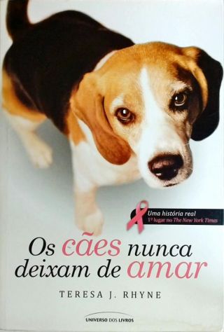 Os Cães Nunca Deixam De Amar